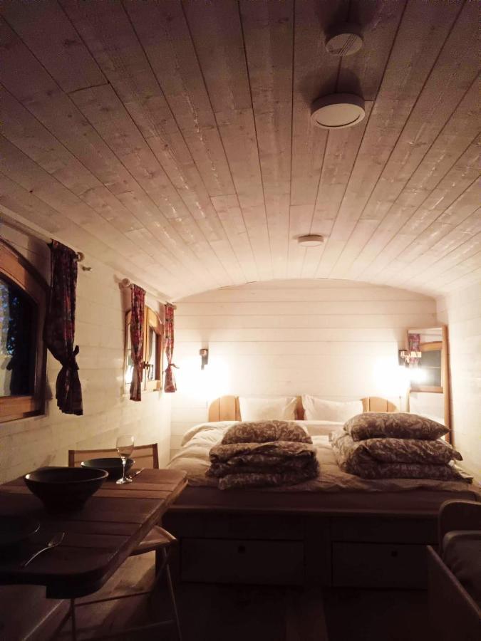 فيلا La Tiny House De La Bergerie Lierneux المظهر الخارجي الصورة