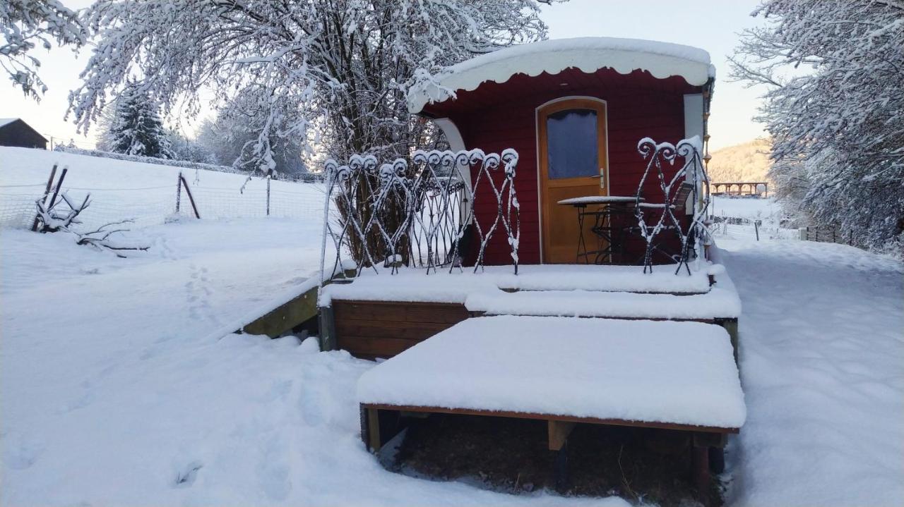 فيلا La Tiny House De La Bergerie Lierneux المظهر الخارجي الصورة