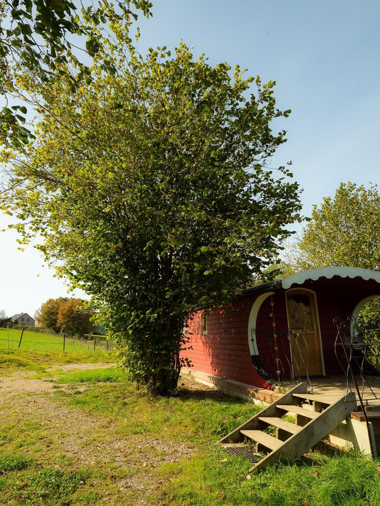 فيلا La Tiny House De La Bergerie Lierneux المظهر الخارجي الصورة